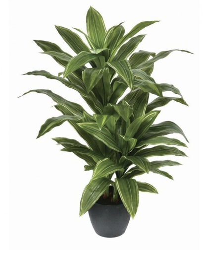 [MTF19182] Planta Yucca  42"