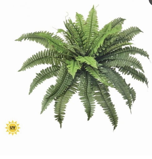 [MTF24613] Planta Helecho 30"