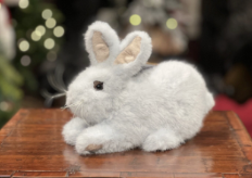 [40696] Conejo Blanco Baby