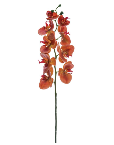 [FSO173-CO] Phalaenopsis Naranja 30"