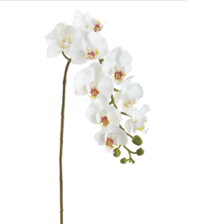 [FSP090-WH] Phalaenopsis Blanco 29"