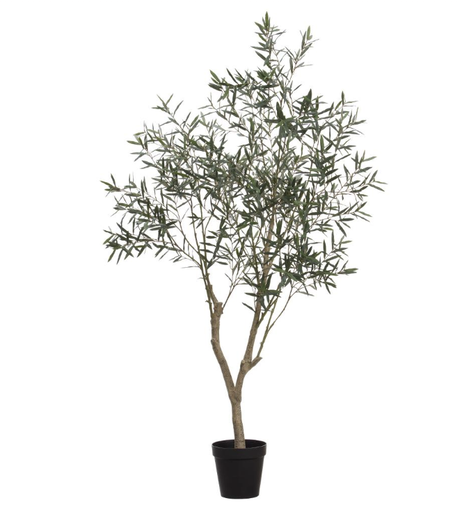 [LTO745-GR] Olivo 94"