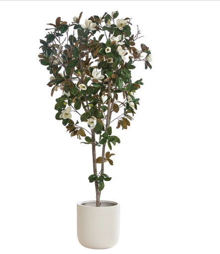[WT0735-WH] Arbol Magnolia 110" Con Maceta