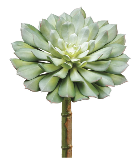 [CE3196-GR/GY] Echeveria Pick 9"