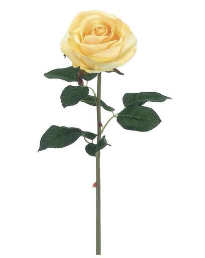 [FSR421-YE] Rosa Amarillo