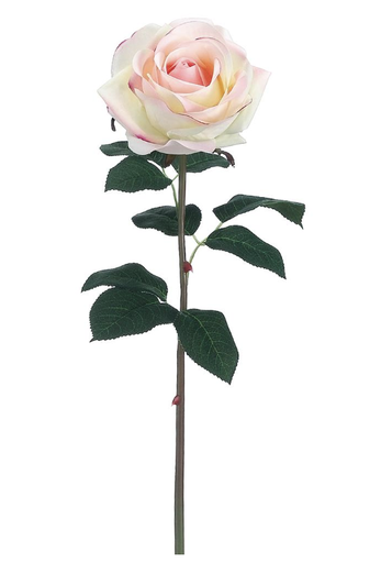 [FSR421-CR/PK] Rosa Rosa Blanco