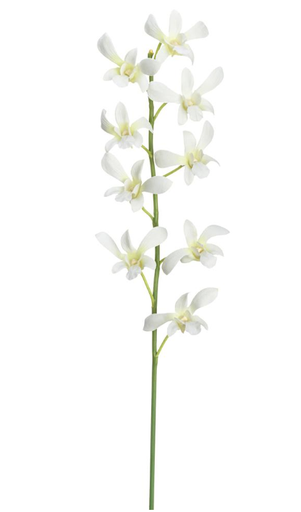 [JYO974-WH] Orquidea Blanco 29"