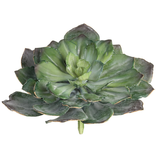 [CM3790-GR/GY] Echeveria Verde 8"X14"