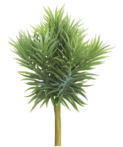 [CS1650-GR/GY] Vara Senecio Verde 12" X7