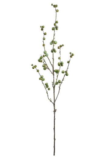 [FSB542-GR] Vara Berry Verde 49.5"