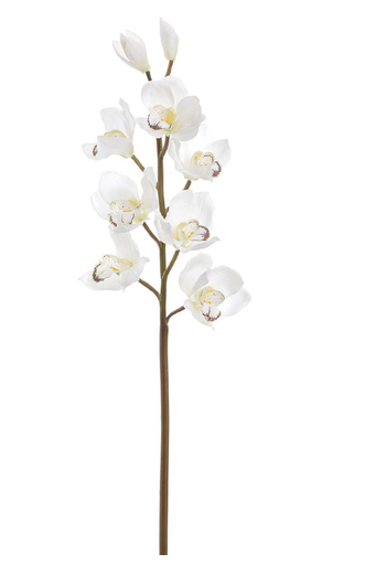 [FSO113-WH] Cymbidium Blanco 37"