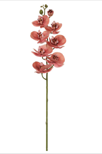 [FSO612-CI] Phalaenopsis Coral 30"
