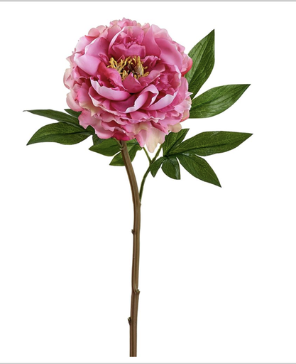 [FSP630-CE] Peonia Rosa 6"