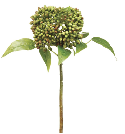 [FSS641-GR/BU] Vara Sedum 17"