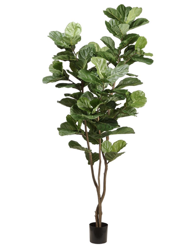 [LPF196-GR] Pandurata 90.5"