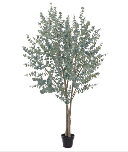 [LTE757-GR/GY] Eucalipto 106"