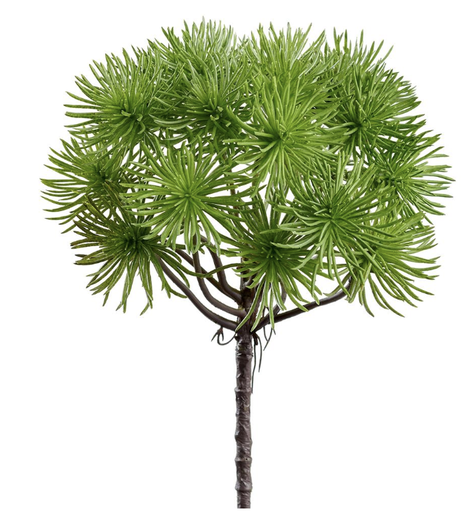 [PBG358-GR] Grass 11.5"