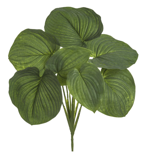 [PBH626-GR] Planta Hosta 26"