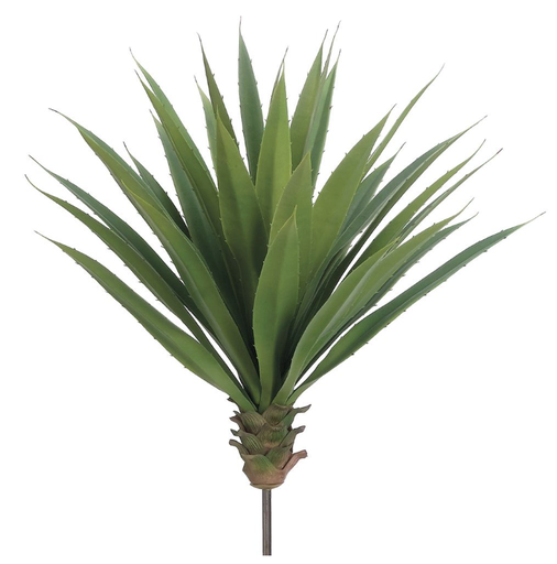 [PPA701-GR] Vara Agave 22"