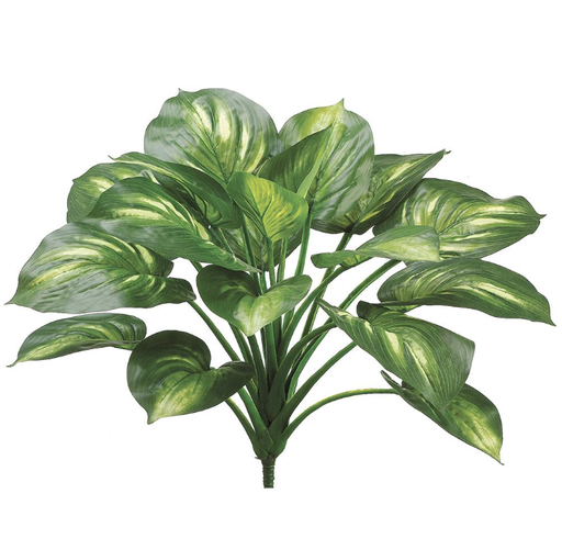 [PPH222-GR/CR] Planta Eva Hosta 22"