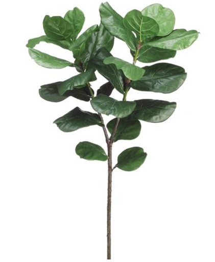 [PSF240-GR] Vara Pandurata 57"