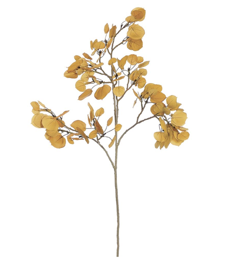 [PSL514-YE] Vara Amarillo Aspen 47"
