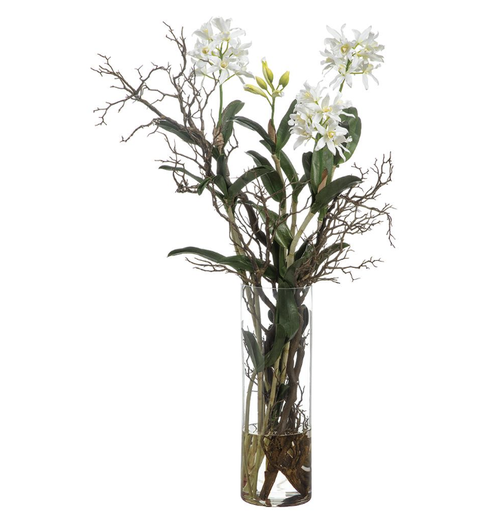 [WF0757-CR/GR] Jarron Vidrio Agua Artificial Cattleya Blanco  52"