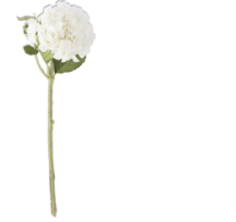 [15968A-WH] Hortensia Blanco 20"