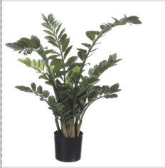 [LPZ457-GR] Planta Zamia  42"